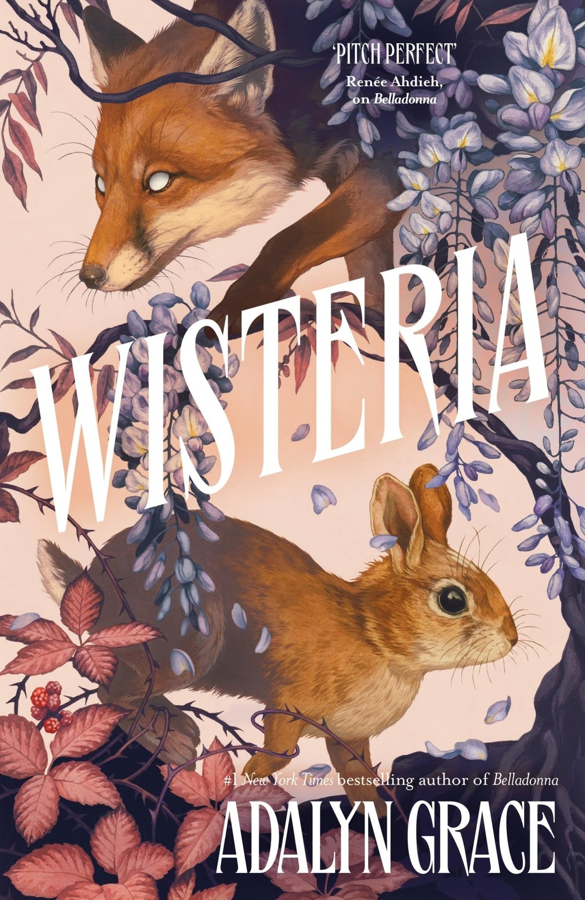 Wisteria - Dubai - Buy Used/Second-Hand Books - BookHero