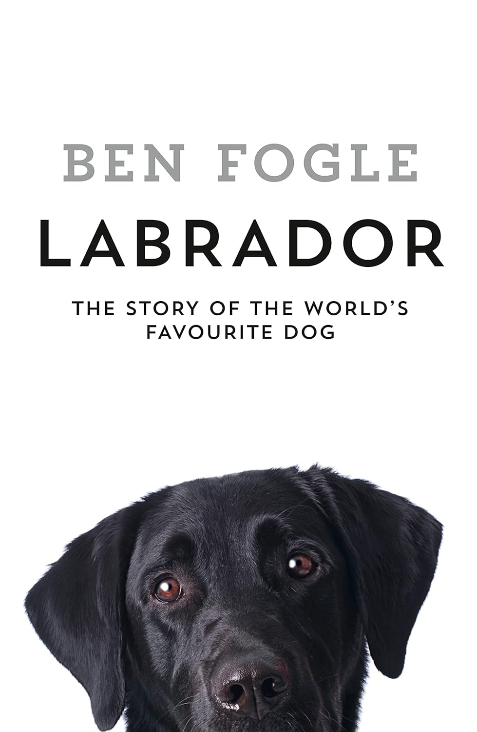 Links to Labrador by Ben Fogle