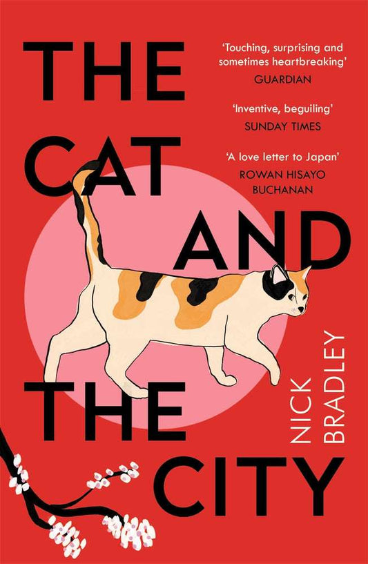 Links to The Cat and The City