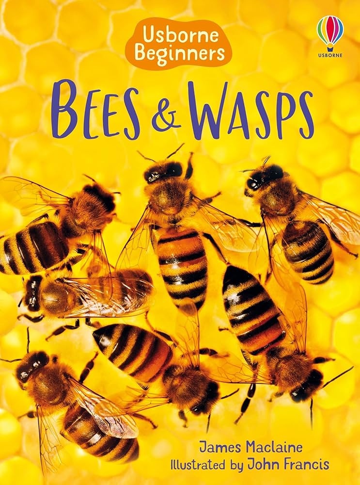 Bees & Wasps (Usborne Beginners) (Beginners Series) | James Maclaine ...