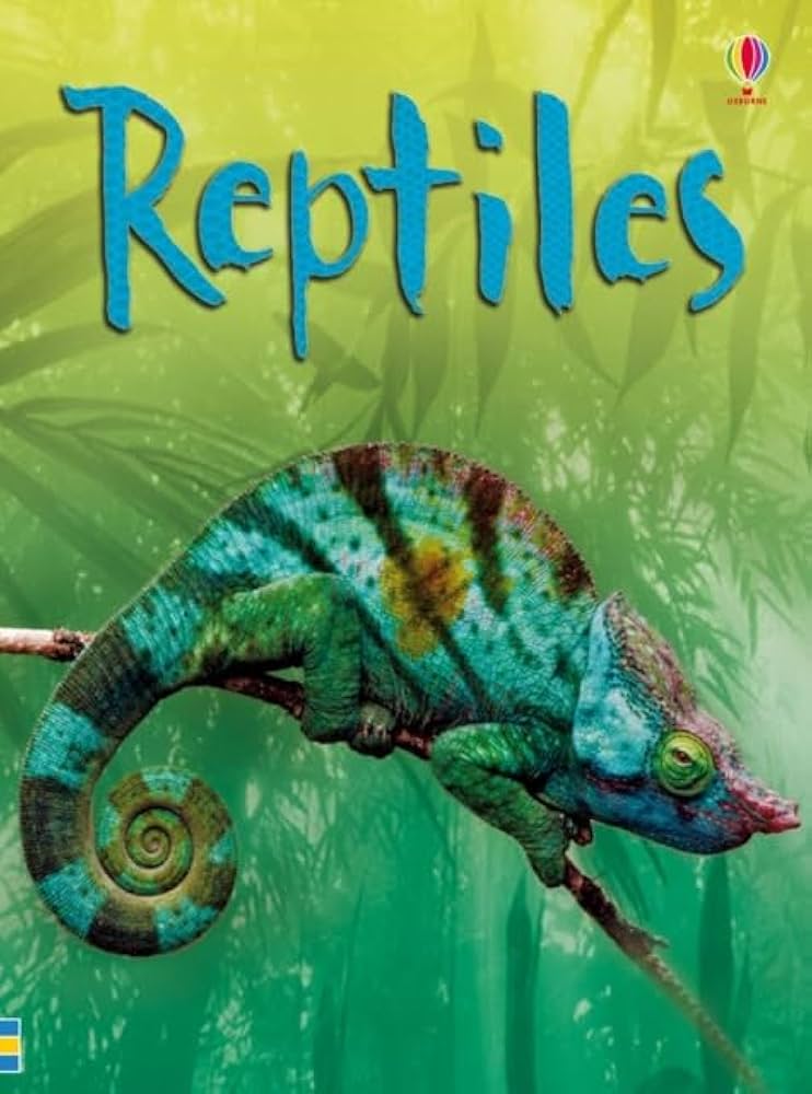 Links to Reptiles - Usborne Beginners (Beginners Series)