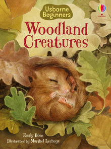 Links to Usborne Beginners Woodland Creatures