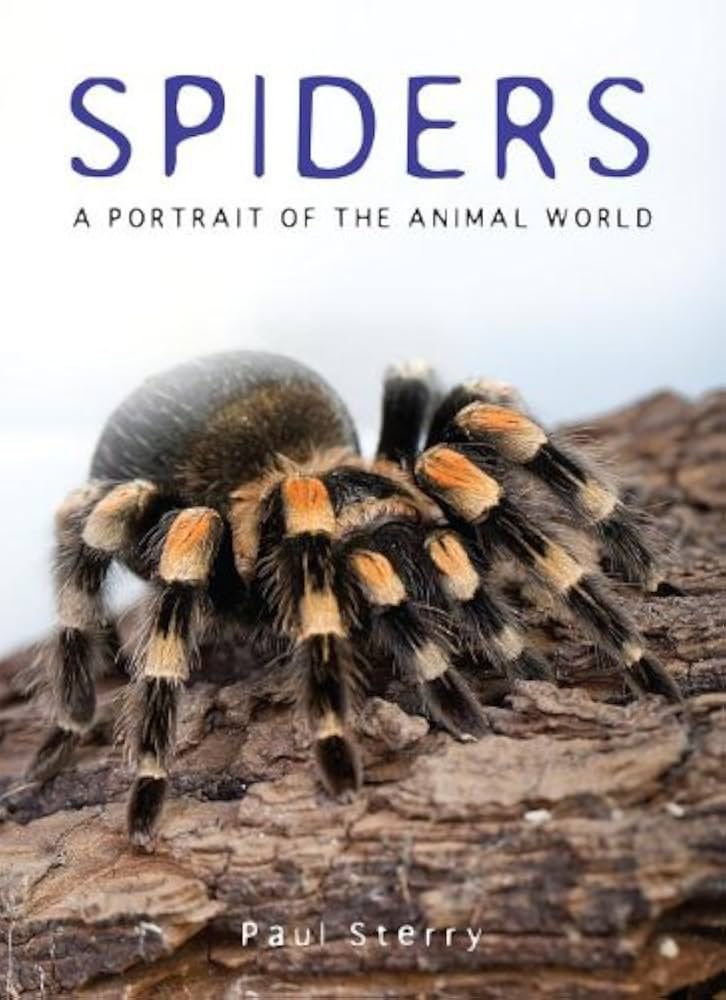 Links to Spiders A Portrait of the Animal World