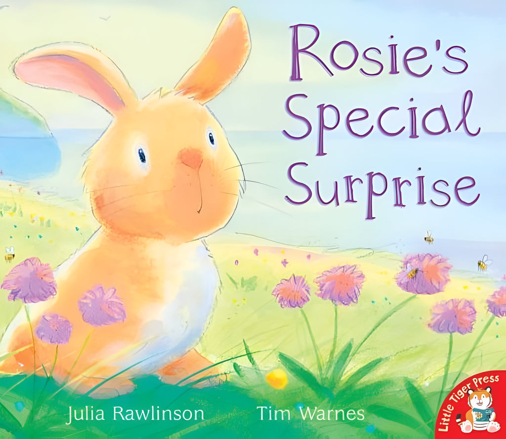 Rosie's Special Surprise | Julia Rawlinson – Dubai - Buy Used/Second ...