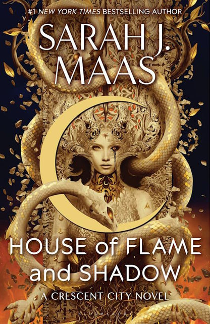 House of Flame and Shadow - Dubai - Buy Used/Second-Hand Books - BookHero