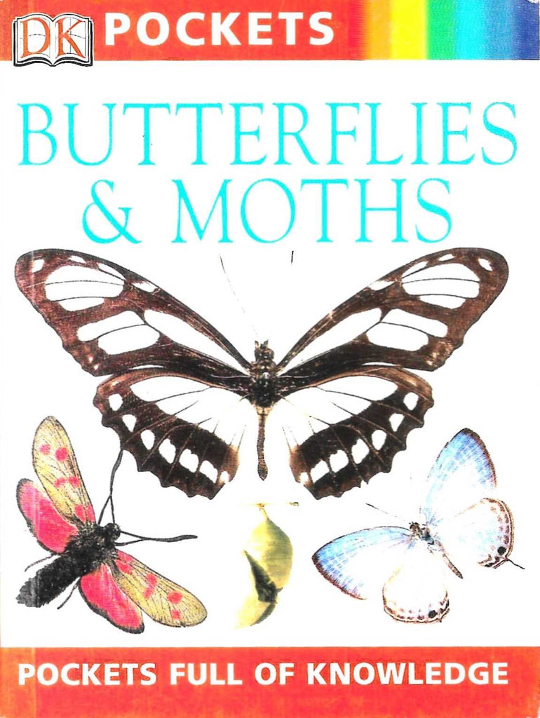 Links to Butterflies & moths by Barbara Taylor