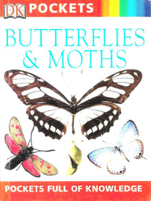 Links to Butterflies & moths by Barbara Taylor