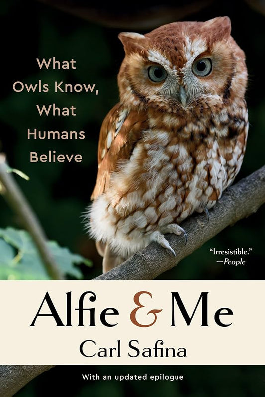 Alfie and Me What Owls Know, What Humans Believe - Dubai - Buy Used/Second-Hand Books - BookHero