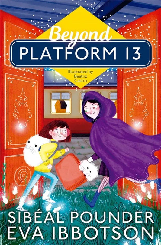 Beyond Platform 13 - Dubai - Buy Used/Second-Hand Books - BookHero