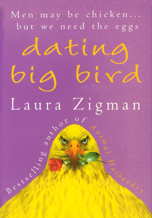 Dating Big Bird - Dubai - Buy Used/Second-Hand Books - BookHero