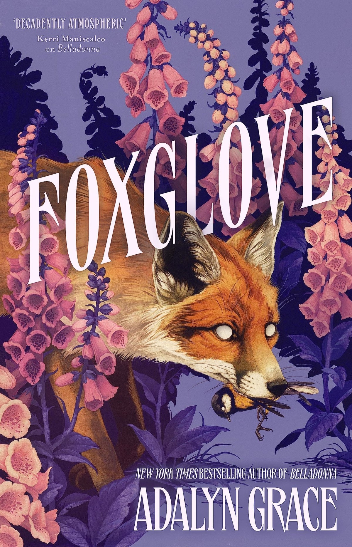 Foxglove - Dubai - Buy Used/Second-Hand Books - BookHero