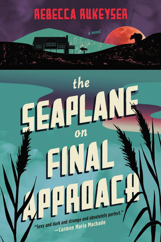 The seaplane on final approach - Dubai - Buy Used/Second-Hand Books - BookHero
