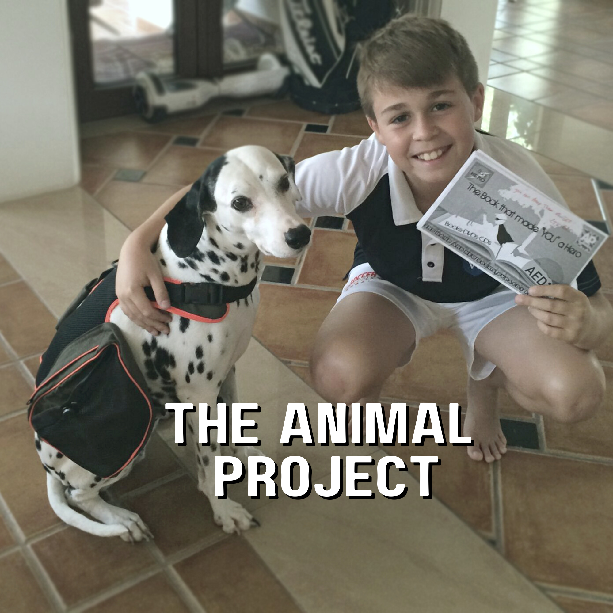 THE ANIMAL PROJECT