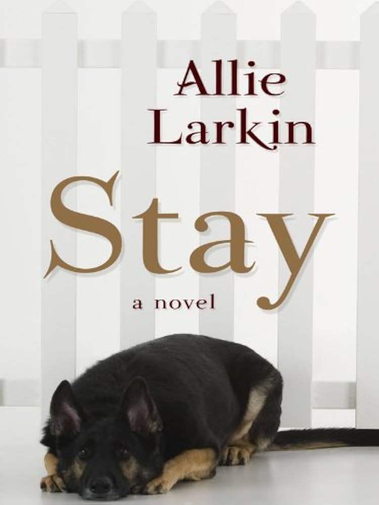 Links to Stay by Allie Larkin