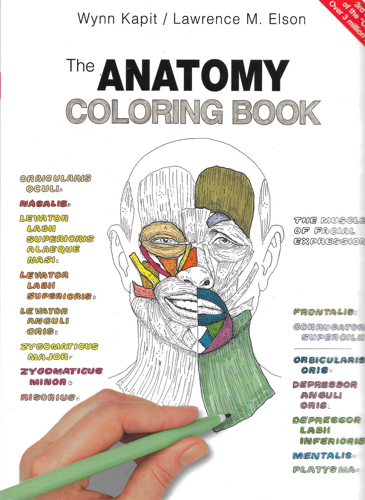 The Anatomy Coloring Book Wynn Kapit Lawrence M. Elson Bookhero