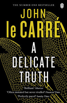 A Delicate Truth - Bookhero