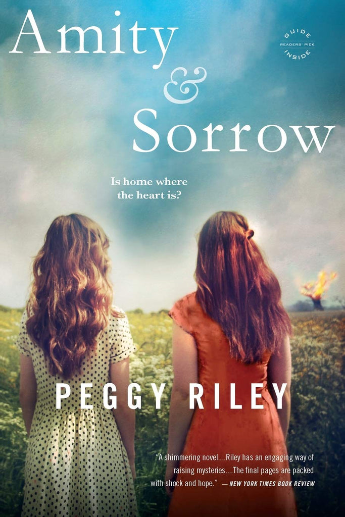 Amity & sorrow - Bookhero