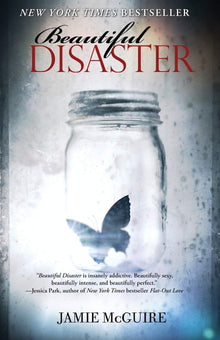 Beautiful disaster - Bookhero