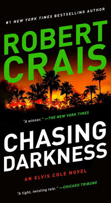 Chasing Darkness - Bookhero