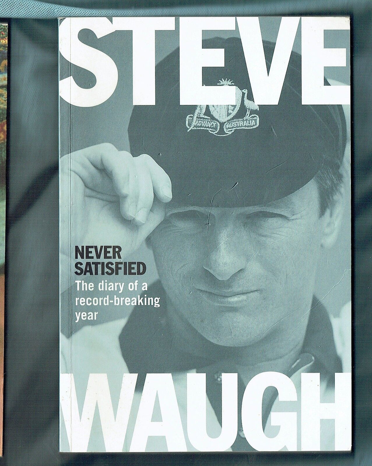 Links to Never Satisfied: Diary of a Record-breaking Year by Steve Waugh