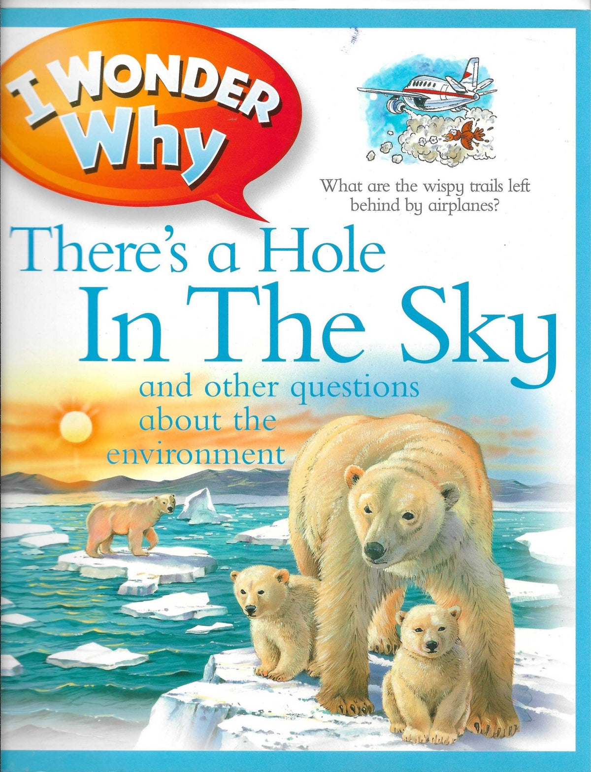 I Wonder Why There's a Hole in the Sky - Bookhero