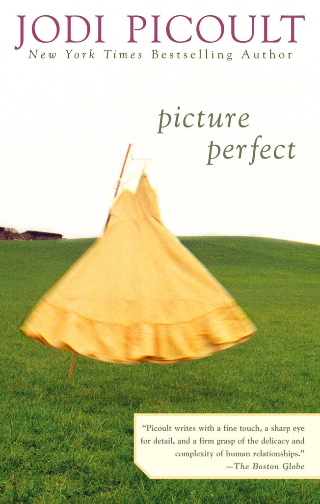 Picture Perfect - Bookhero